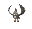Staravia sprite