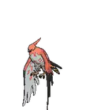 Talonflame sprite