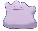 Ditto