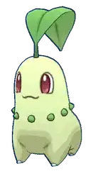 Chikorita