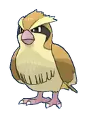 Pidgey