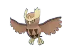 Noctowl