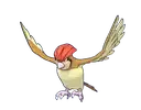 Pidgeotto