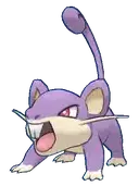Rattata