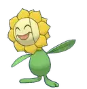 Sunflora