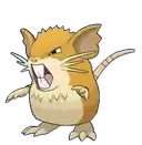 Raticate