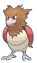 Spearow