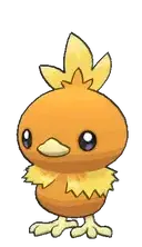 Torchic
