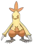 Combusken