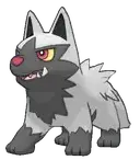 Poochyena