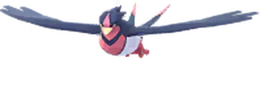 Swellow
