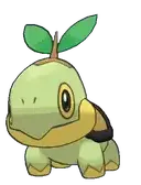 Turtwig