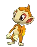 Chimchar