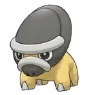 Shieldon