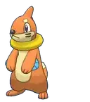 Buizel