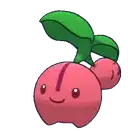 Cherubi