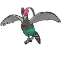 Unfezant