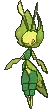 Leavanny