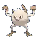 Mankey
