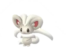 Cinccino