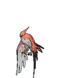 Talonflame