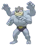 Shadow Machamp