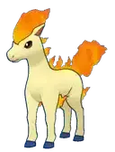 Ponyta
