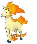 Rapidash