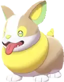 Yamper