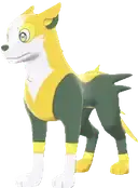 Boltund