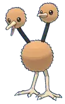 Doduo