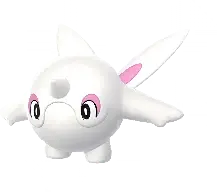 Cetoddle
