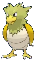 Spearow