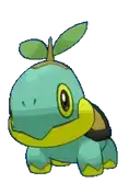 Turtwig