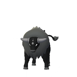 Tauros — Paldean Combat