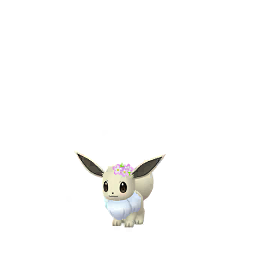 Eevee — November 2018