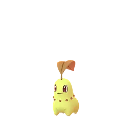 Chikorita