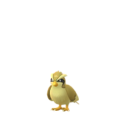 Pidgey