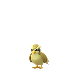 Pidgey