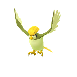 Pidgeotto