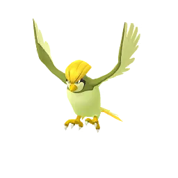 Pidgeotto