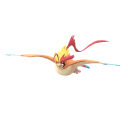 Mega Pidgeot