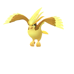 Pidgeot