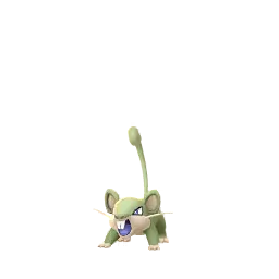 Rattata