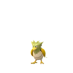 Spearow