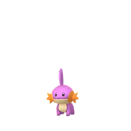 Mudkip