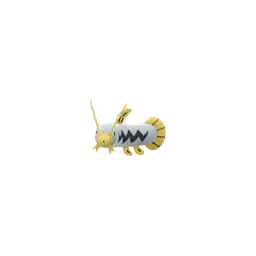 Barboach