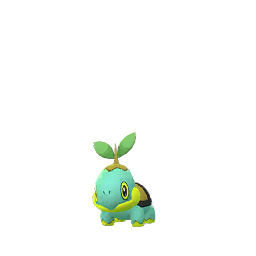 Turtwig
