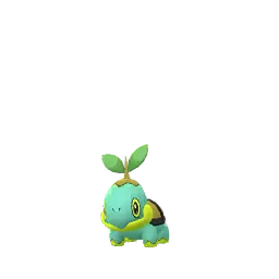 Turtwig