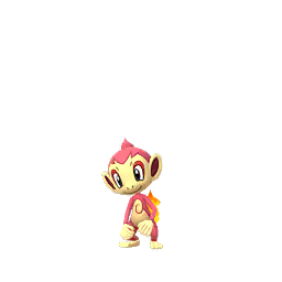 Chimchar